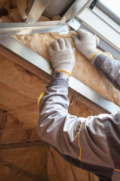 Best Eco-Friendly Insulation in Emigsville, PA